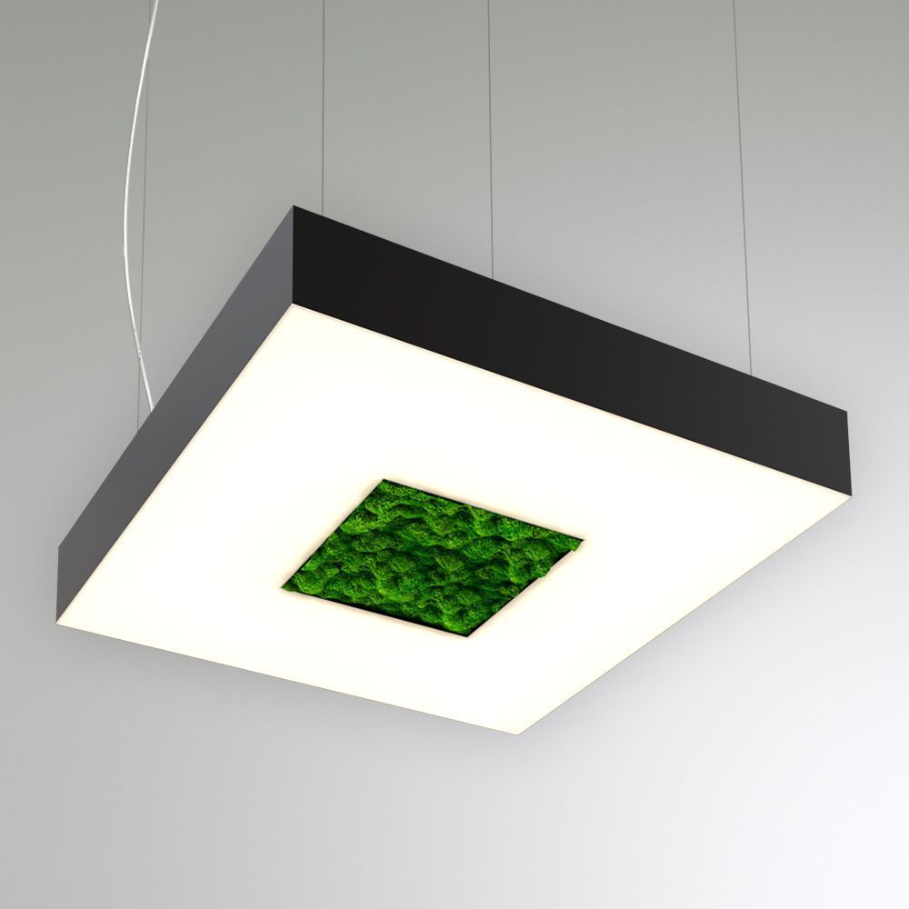 KEO MOSS LIGHTBOX-HOLE P 650 (Квадрат с отв.)