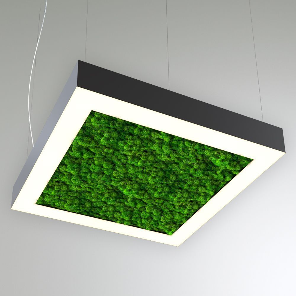 KEO MOSS LIGHTBOX P 1000 (Квадрат)