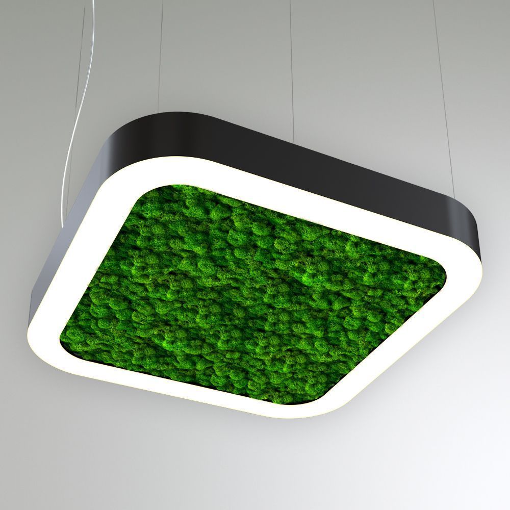 KEO MOSS LIGHTBOX 1000 (Квадрат закругл.)