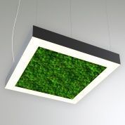 KEO MOSS LIGHTBOX P 1950 (Квадрат)