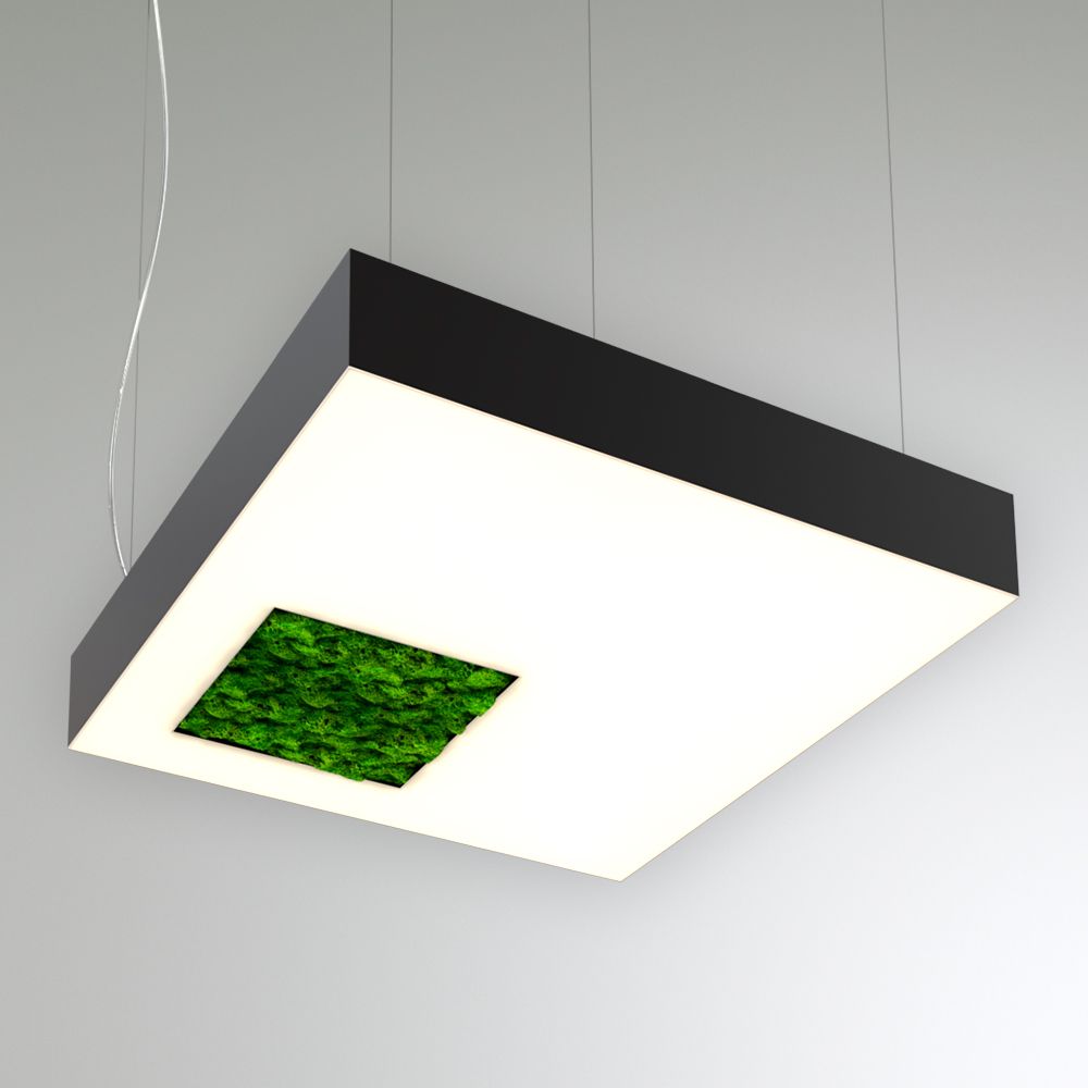 KEO MOSS LIGHTBOX-HOLE-S P 650 (Квадрат со смещ. отв.)