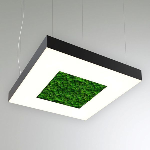 KEO MOSS LIGHTBOX-HOLE P 900 (Квадрат с отв.)