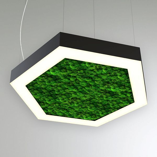KEO MOSS HEXAGON P 800 (Шестиугольник)