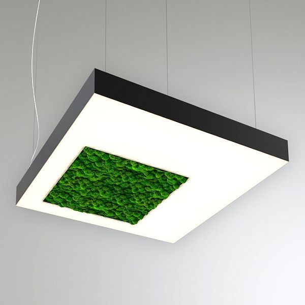 KEO MOSS LIGHTBOX-HOLE-S P 900 (Квадрат со смещ. отв.)
