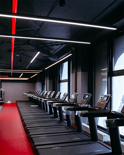 d1_fitness_7.jpg