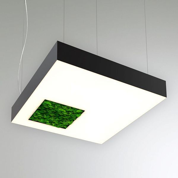 KEO MOSS LIGHTBOX-HOLE-S P 650 (Квадрат со смещ. отв.)