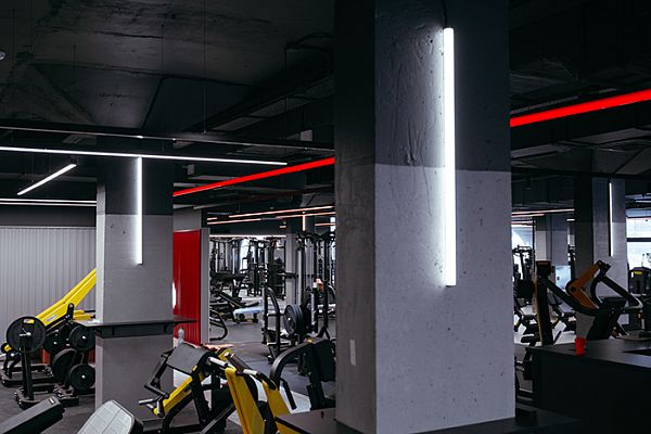d1_fitness_4.jpg